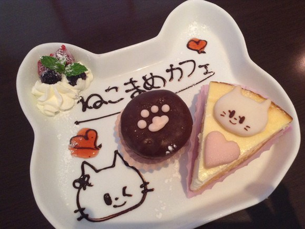 Kafe di Jepang Ini Jual Berbagai Kue dengan Bentuk Wajah Kucing yang Imut