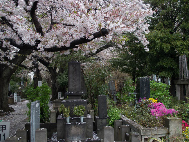 Sambangi Tempat-tempat Tersembunyi di Tokyo yang Misterius Namun Memikat Hati Travelers