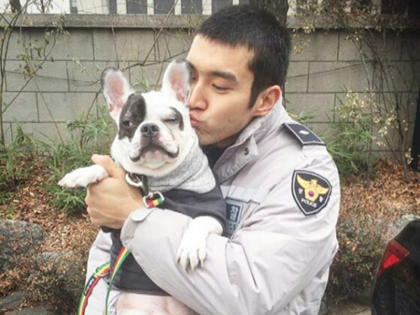 Keluarga Korban Angkat Bicara Soal Usul Suntik Mati Anjing Peliharaan Siwon
