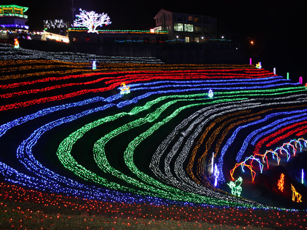 Tak Hanya Dekorasi, Kebun Teh Pun Disulap Cantik di Festival Korea Ini