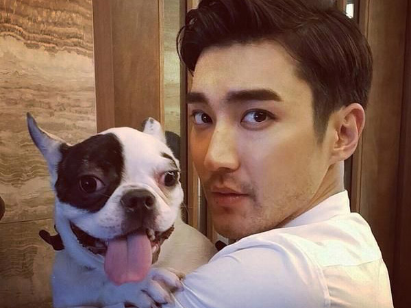 Ini Tindakan Keluarga Korban Atas Insiden Anjing Peliharaan Siwon Super Junior