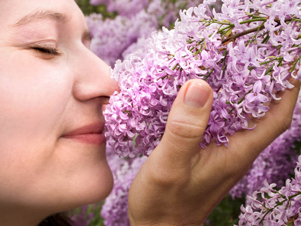 Mencium Aroma Manis Sebelum Tidur Bisa Buat Kamu Mimpi Indah