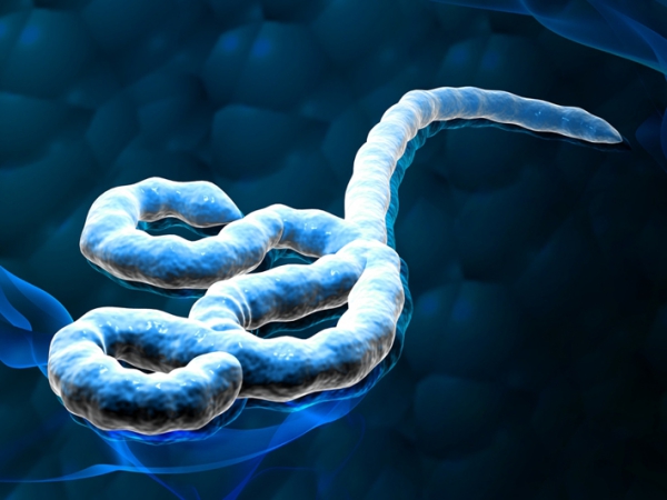 Wah Obat untuk Penyakit Ebola Sudah Ditemukan?