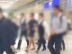 Jungkook BTS hingga Pengusaha Jadi Korban, Hacker Cina yang Curi Ratusan Miliar Ditangkap di Thailand