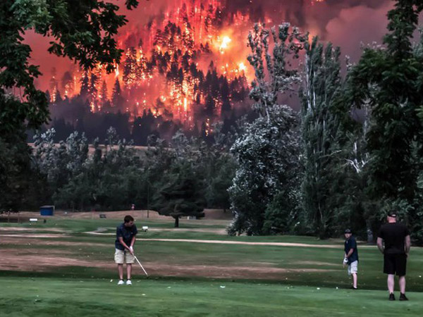 Viral Sekelompok Orang Bermain Golf di Samping Hutan yang Terbakar Hebat