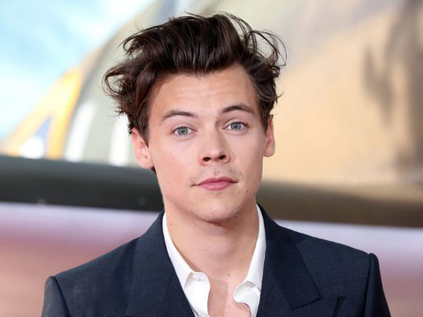 Berniat Menolong, Harry Styles Malah Dikuntit Gelandangan