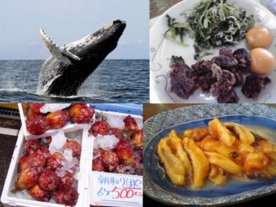 Duh, Ikan-Ikan Monster Ini Diubah Jadi Seafood Lezat di Jepang!