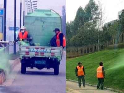 Duh, Agar Terlihat Hijau, Pemerintah China Ngecat Rumput