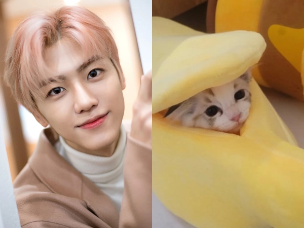 Jaemin Punya Kucing Baru, NCT Jadi Punya Unit NCT L