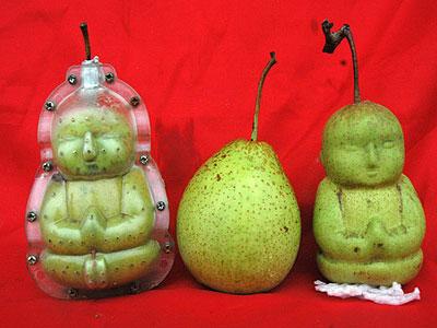 Wow, Buah Pir Ini Berbentuk Budha!