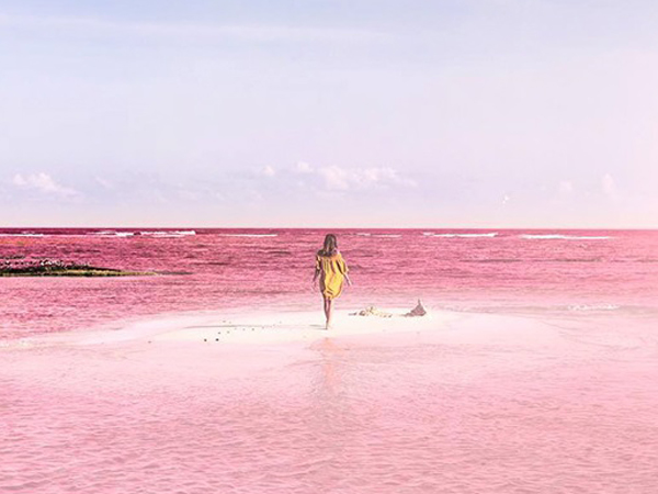 Percaya Atau Tidak, Laguna Unik Di Meksiko Ini Sedang Viral di Instagram!