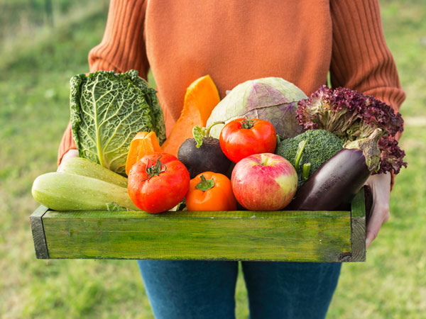 Semangka Ternyata Bukan Buah, Simak Fakta Unik Tentang Sayur dan Buah yang Belum Kamu Tahu