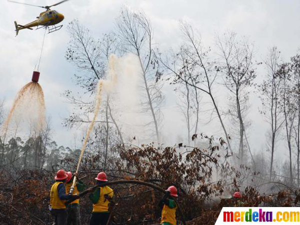 Indonesia Luluh, Akhirnya Terima Bantuan Singapura untuk Padamkan Api