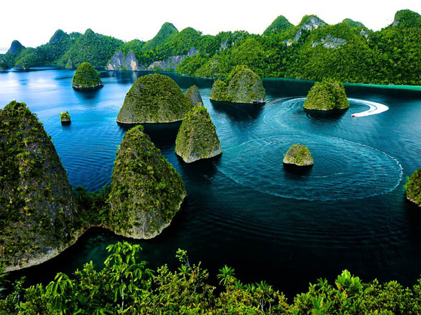 Wisata Raja Ampat Dijamin Tetap Aman Asal Pakai Pemandu Lokal