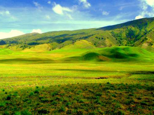 Wah, Ternyata Bukit 'Teletubbies' Juga Ada di Taman Nasional Gunung Bromo!