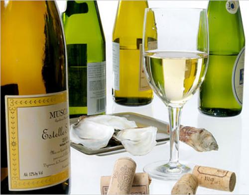 Muscadet, Nikmatnya White Wine dari Prancis