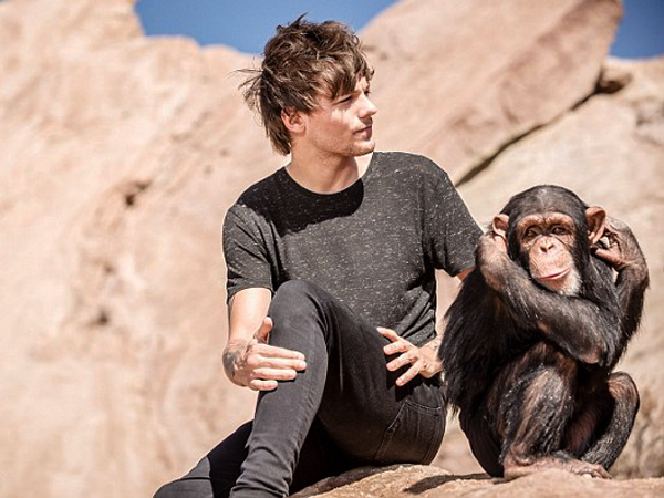 Ajak Seekor Simpanse di Video Musik Terbarunya, One Direction Dikritik!