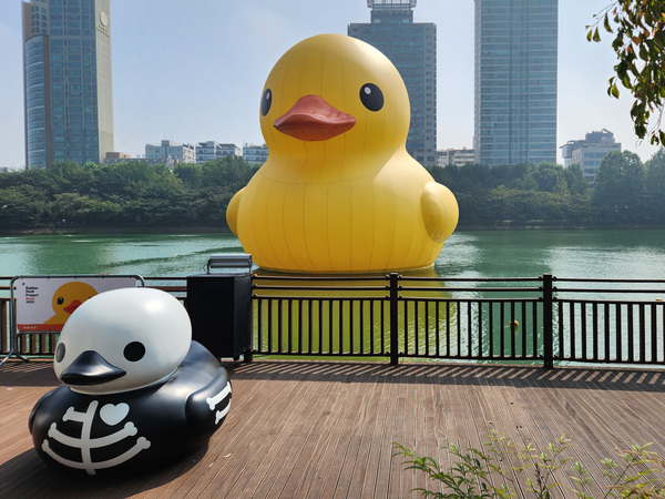 Rubber Duck Kembali Mengapung di Danau Seoul, Ajak 4 Teman Baru