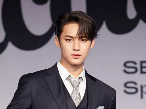 Pledis Berikan Update Kelanjutan Penyelidikan Rumor Mingyu SEVENTEEN