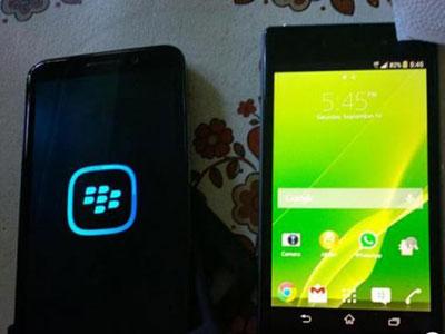 Berapakah Banderol BlackBerry Z30?