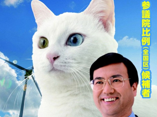 Gemas, Politisi Ini Gunakan Poster Kucing untuk Menangkan Kampanye Politik