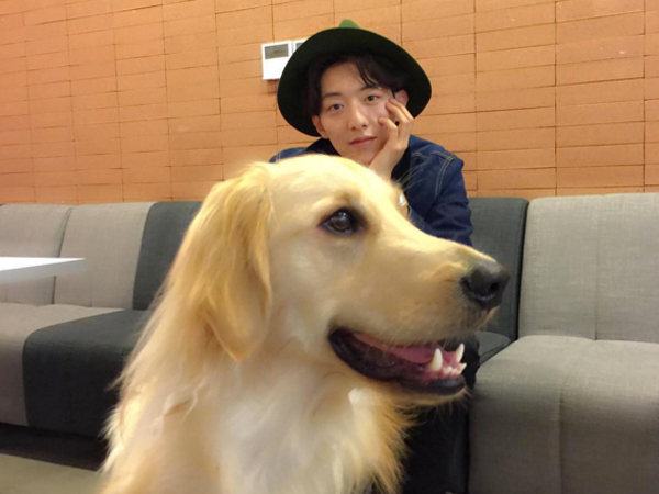 Tips Adopsi Hewan Terlantar Dari Jungshin CNBLUE