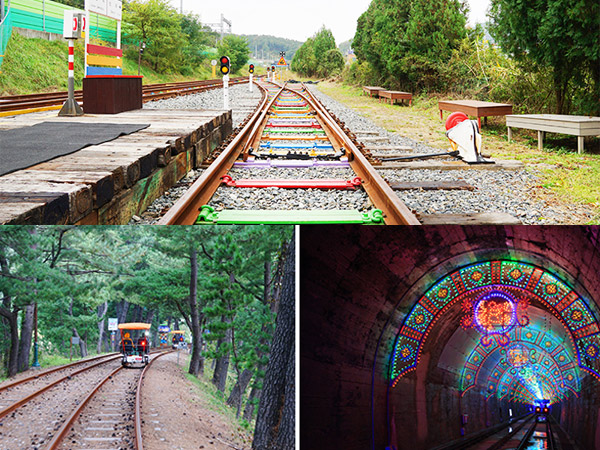 Wisata Unik Tren Korea Selatan: Kelilingi Alam dengan Railbike Seru!