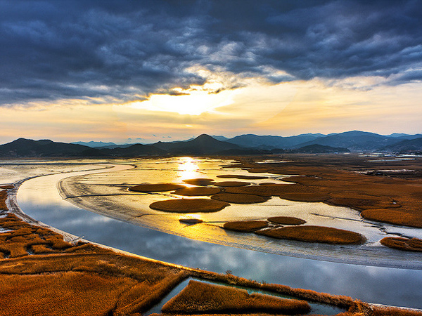 Suncheon Bay, Rawa yang Disulap Jadi Puluhan Taman Menawan