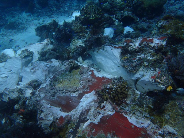 Pemerintah Turunkan Tim Khusus Terkait Insiden Kerusakan Terumbu Karang Raja Ampat